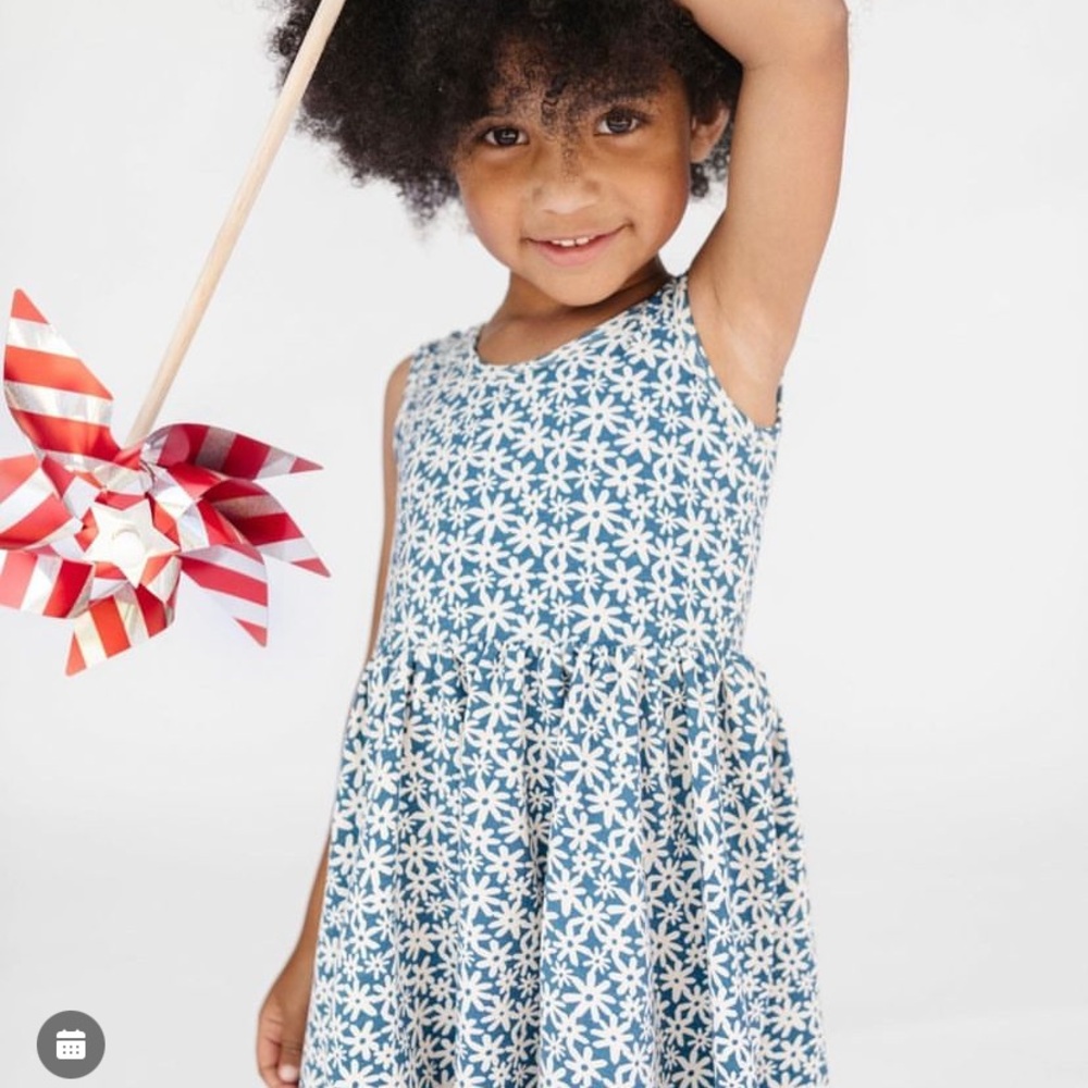 NEW Alice + Ames Blue Flower Power Dress 4T